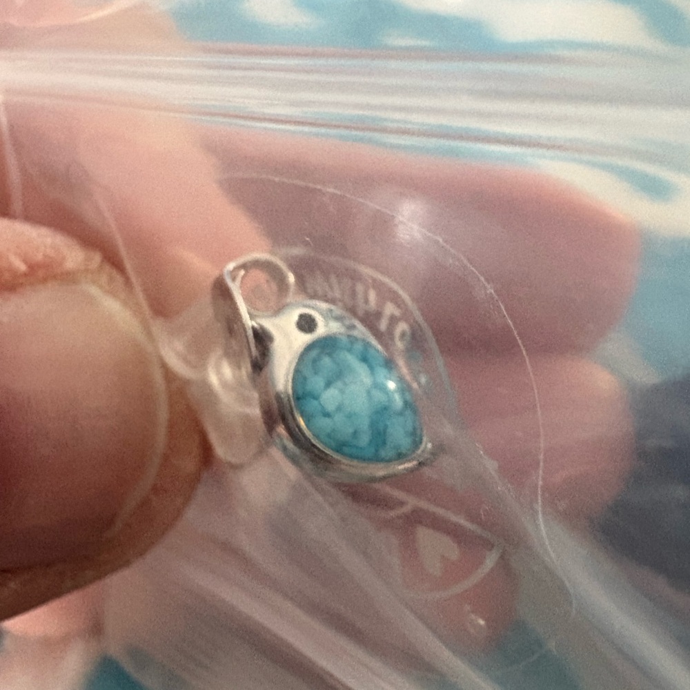 Silver and Turquoise resin color bird stud earrings